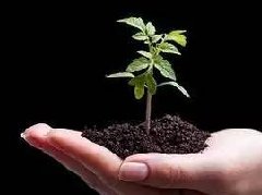 土壤基礎知識(shí)大全 非常詳細(xì)