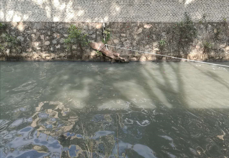 順德灝景灣河湧水質應急處理治理