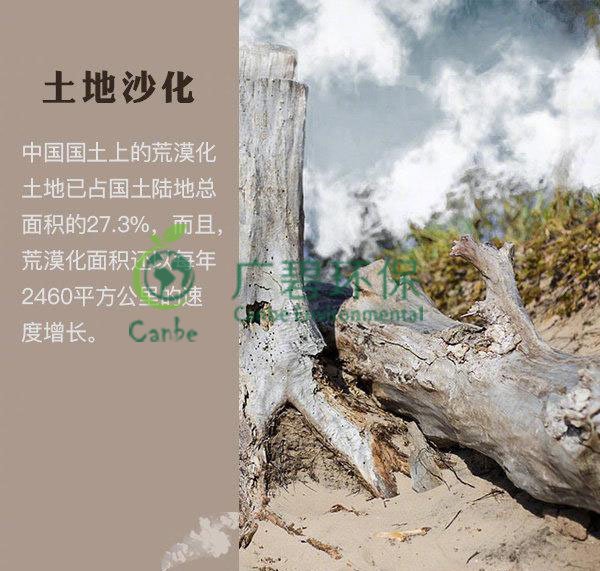 世界地球日 色多多视频能為地球做（zuò）些什麽？(圖4)