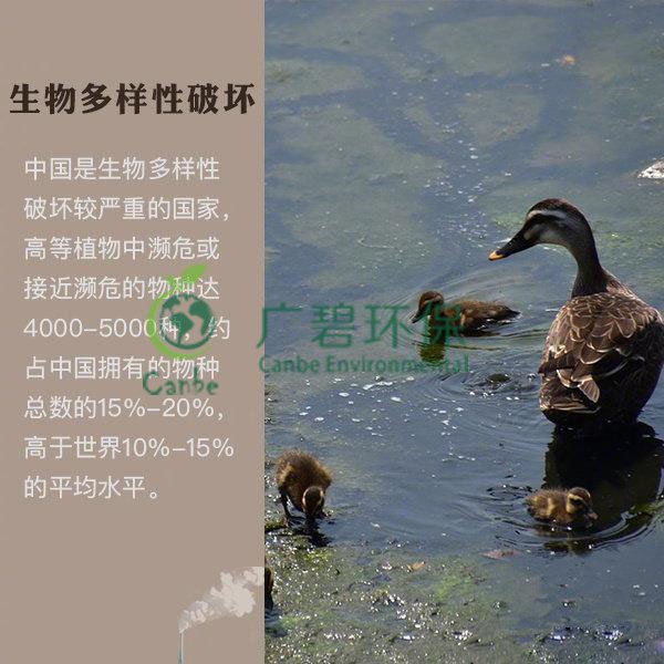 世界地球（qiú）日 色多多视频能為地球做些什麽？(圖6)