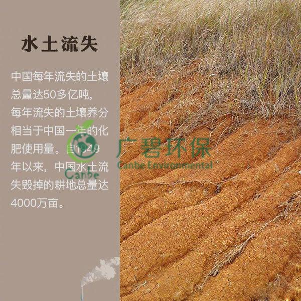 世界地球日 色多多视频能為地球（qiú）做些什（shí）麽？(圖7)