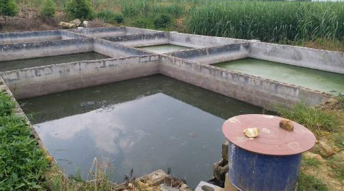 養豬場汙水處理方法 養豬場廢水(shuǐ)處(chù)理設備的應用