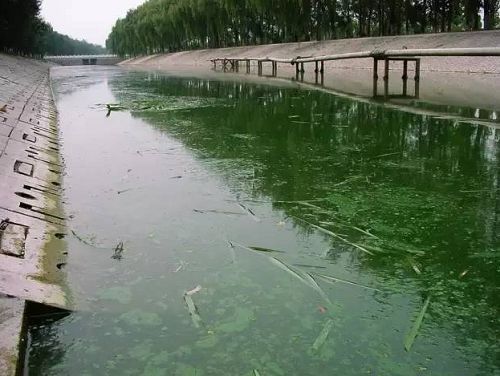 城市黑臭(chòu)河道如何治理?河道(dào)黑臭水(shuǐ)體治理思路(lù)(圖1) 城市黑臭河道如何治(zhì)理?河道黑臭水體治(zhì)理思路(圖1)