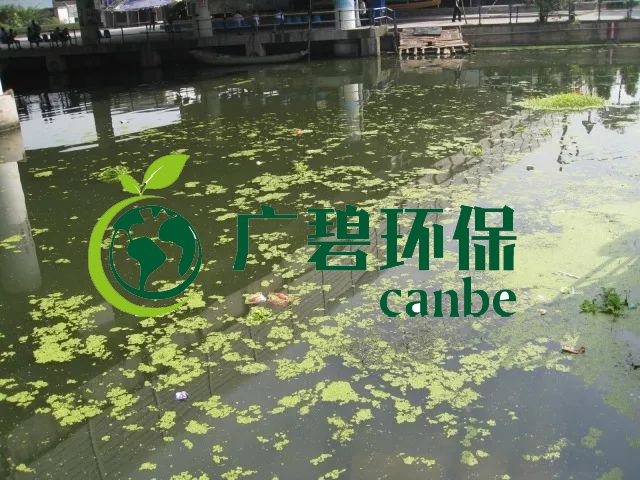 城市黑臭河道如何治理?河道黑臭(chòu)水體治理思路(圖3) 城市黑臭河道如何治(zhì)理?河道黑臭水體治理思路(圖3)