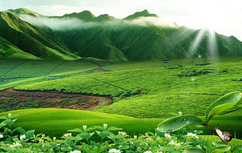 廣東省生態環境廳審批環(huán)境影響評價文件的建設項目名錄(2019年本)