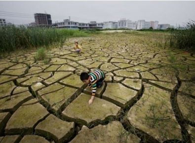 土壤鎘汙(wū)染如何進行修複