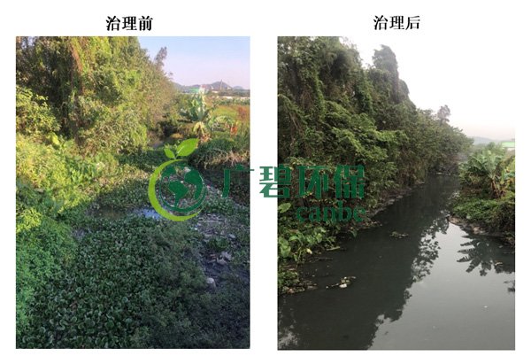 廣碧環保金陡湧河湧黑臭水(shuǐ)體 治理服務項目順利通過驗收(圖7) 廣碧環保金陡湧河湧黑臭水體 治理(lǐ)服務項目順利通(tōng)過驗收(圖7)