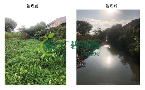 廣碧環保金陡湧河湧黑臭水體 治理服務項目(mù)順利通過驗收(圖(tú)8) 廣碧(bì)環保(bǎo)金陡(dǒu)湧河湧黑臭水體 治理服務(wù)項目順利通過驗收(圖(tú)8)