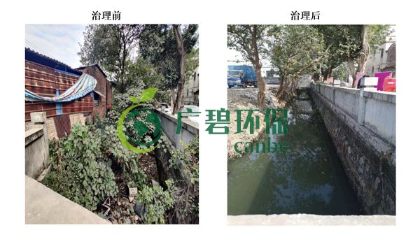 廣碧環保金陡湧河湧黑臭水體 治理服務項目順(shùn)利通過驗收(圖1) 廣碧環保金陡湧河湧黑臭水(shuǐ)體 治理服務項目順利通過驗收(圖1)