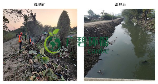 廣碧環保金陡湧河湧黑臭水體 治理服(fú)務項目(mù)順利通過驗收(圖2) 廣碧環保金陡湧河湧黑臭水體 治理(lǐ)服務項目順利通過驗收(圖2)