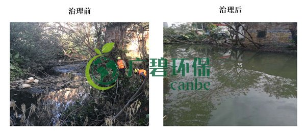 廣碧環保金陡湧河(hé)湧(yǒng)黑臭水體 治(zhì)理服務(wù)項目順利通過驗收(shōu)(圖3) 廣碧環保(bǎo)金陡湧河湧黑臭水體 治理服務項目(mù)順利通過驗收(shōu)(圖(tú)3)