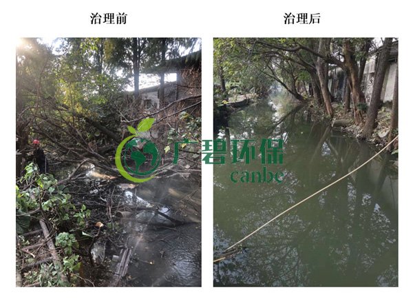 廣碧環保金陡湧(yǒng)河湧黑臭水體 治理(lǐ)服務項目順(shùn)利通過驗收(圖4) 廣碧環保金陡湧河湧黑臭水體 治理服務項目順利通過(guò)驗收(圖4)