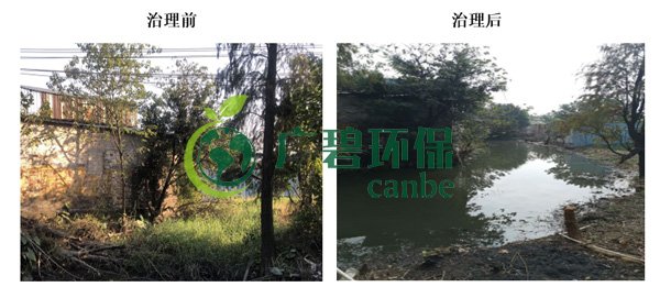 廣(guǎng)碧環保金陡湧河湧黑(hēi)臭水體(tǐ) 治理服務項目順利通過(guò)驗收(圖5) 廣碧環保金陡湧河湧黑臭水體 治理服務項目順利通過驗收(圖5)