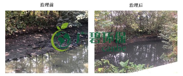 廣碧環(huán)保金陡湧河湧(yǒng)黑臭水體(tǐ) 治理服務項目順利通過驗收(圖6) 廣碧環保金(jīn)陡湧河湧黑臭水體 治理服務項目順利通過驗收(圖6)