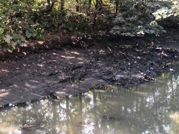 總結河道治理誤區,道明今後治理方向