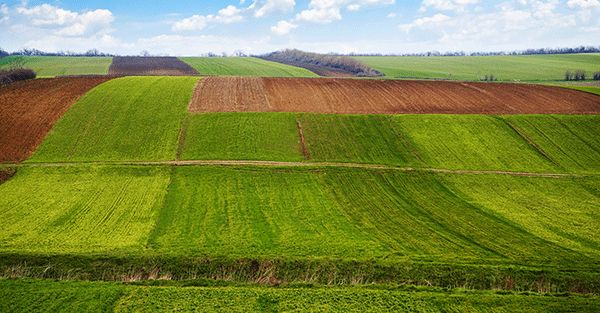 土壤侵蝕是什麽?什麽導致了土壤侵蝕?(圖1) 土壤侵蝕(shí)是什麽?什麽導致了土(tǔ)壤侵蝕?(圖1)