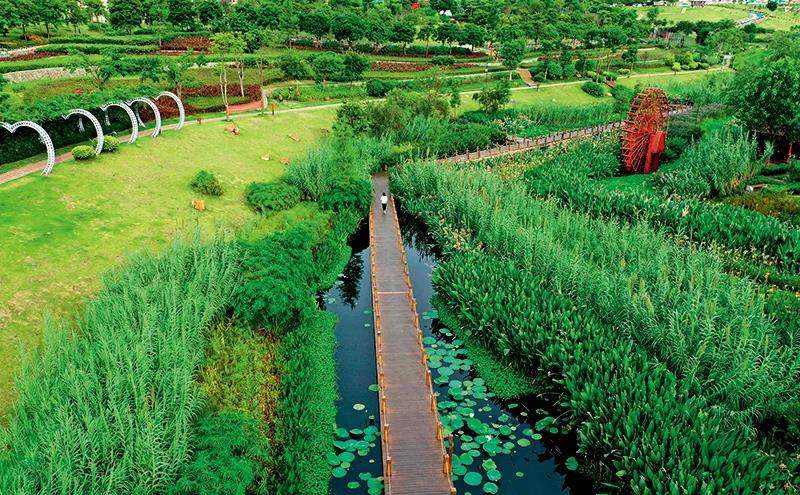 部分黑臭水體出現反彈,治理難在哪兒(ér)?