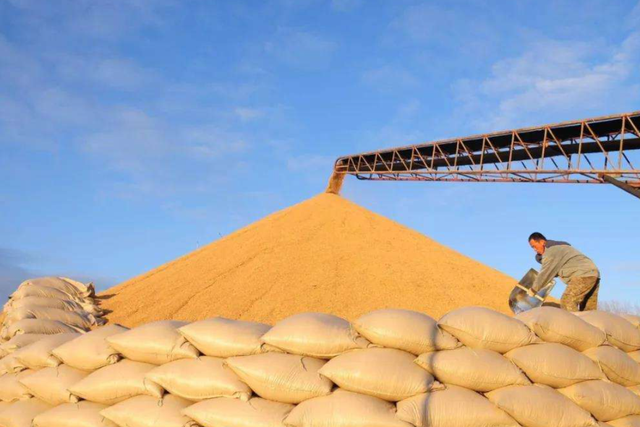 土壤修複市(shì)場,該火了!