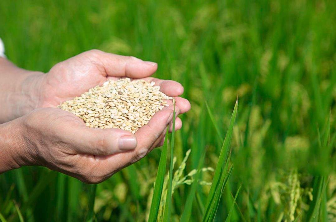 土壤修複市場,該火了!(圖3) 土壤(rǎng)修複市場,該火了!(圖3)