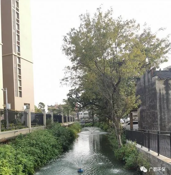 杏壇鎮全麵完成2020年的農村(cūn)黑臭水體整治任務(圖1) 杏壇鎮全(quán)麵完成2020年的農村黑臭水體整治任務(圖1)