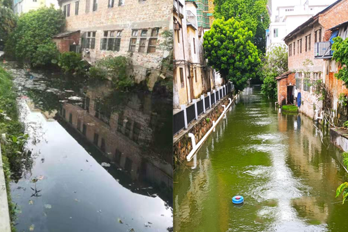 順德大良石(shí)洛(luò)湧、八坊湧整治見成效(圖(tú)2) 順(shùn)德大良石洛湧、八坊湧整治見成效(圖2)