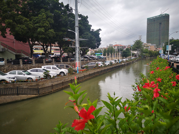 順德大良(liáng)石洛湧、八坊(fāng)湧整治見(jiàn)成效(xiào)(圖4) 順(shùn)德(dé)大良石洛湧、八坊湧整(zhěng)治見成效(圖4)