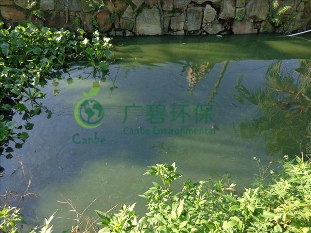 城市河道汙染原因及治理措施  (圖3)