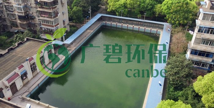 遊泳（yǒng）池水變綠是什（shí）麽原因？遊泳池水處（chù）理（lǐ）方法(圖1)