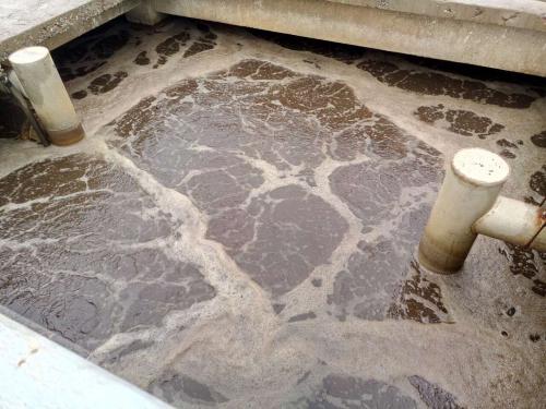 什麽是製革廢（fèi）水？製革（gé）廢水特點與處理工藝(圖1)