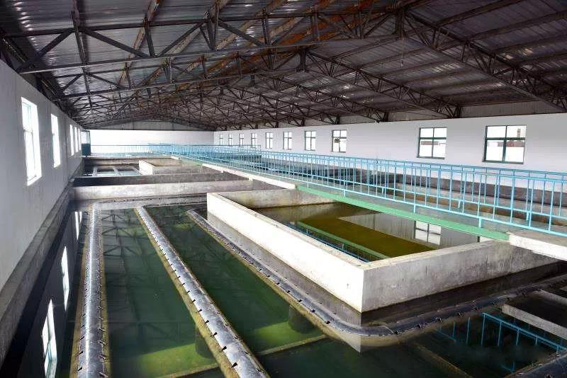 食品加工廢水是什麽?食品加工廢水處理方(fāng)法