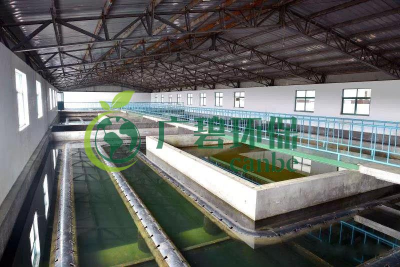 什麽是（shì）製糖廢（fèi）水（shuǐ）？製糖廢水處理技術（shù）(圖1)