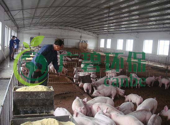 什（shí）麽是養殖廢水？養殖（zhí）廢水處理工藝(圖1)