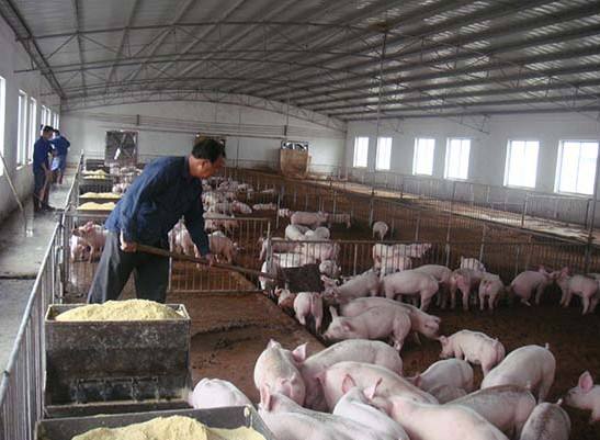 什麽是養殖廢水？養殖廢水處理工藝