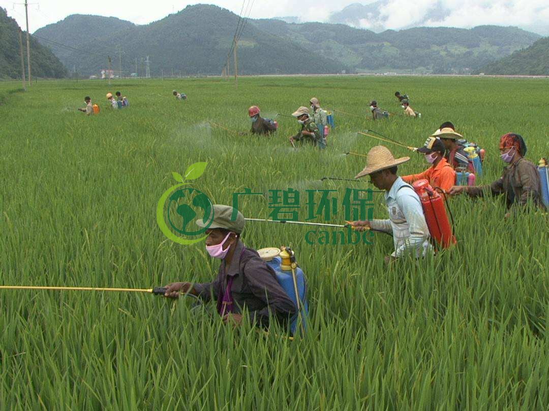 農藥廢水是什麽？農藥廢水特點與處理工藝(圖1)