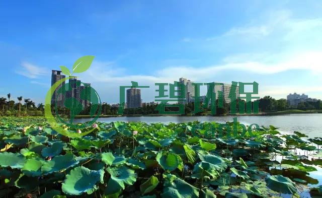 佛山（shān）市各區鎮空氣質量與水（shuǐ）環境質量排（pái）名2019年1-5月(圖1)