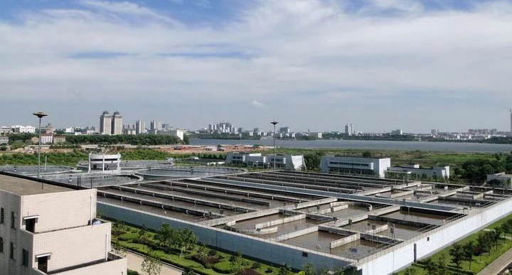 活性汙泥怎麽培養?活性汙泥培養馴化的方法