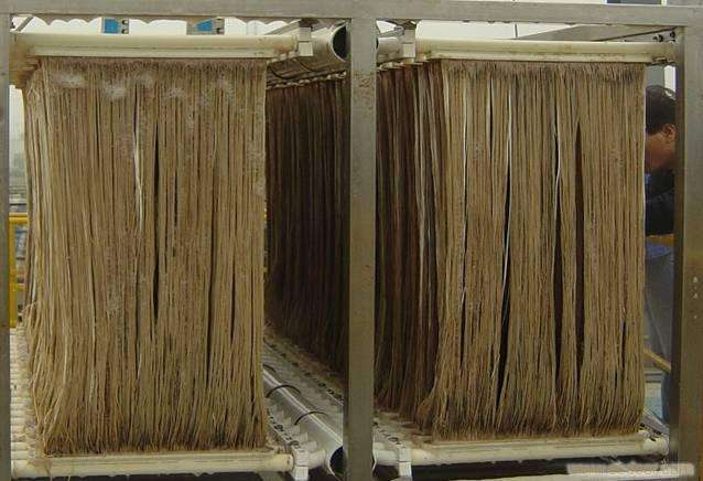 MBR汙泥膨脹怎麽處（chù）理？汙泥膨（péng）脹（zhàng）的處理方法