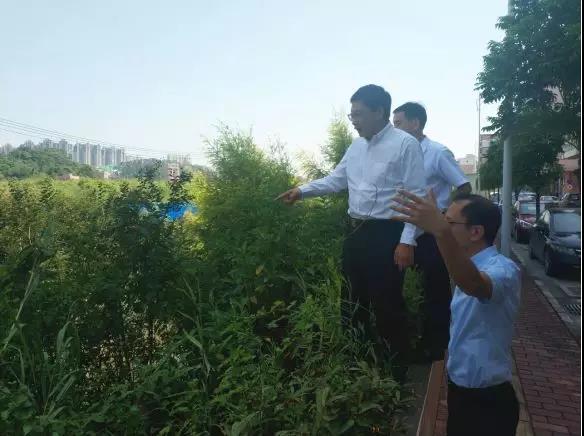 佛(fó)山市生態環境局長楊永泰視察高明黑臭水體圍拳湧整治工作