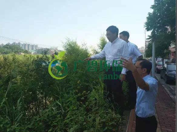 佛山市生態環境局長楊永泰視(shì)察高明黑臭水體圍拳湧整治工作(圖1) 佛山市生(shēng)態環境局(jú)長楊(yáng)永泰視察高明黑臭水體圍拳湧(yǒng)整治工(gōng)作(圖1)