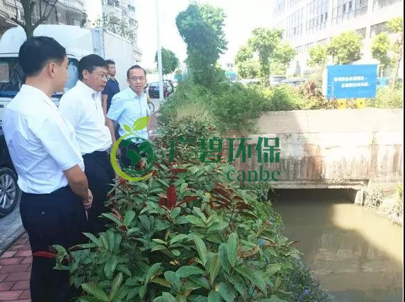 佛山市生態環境局長楊永泰(tài)視察高明黑臭水體圍拳湧整治工(gōng)作(zuò)(圖(tú)2) 佛山市生態環境(jìng)局長楊永泰視察高明黑臭水體圍拳湧整治工作(圖2)