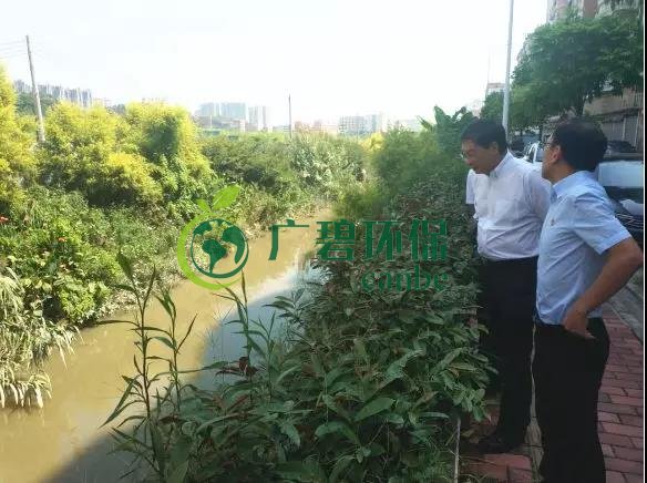 佛山市生態環境局長楊永泰視察高明黑臭水體圍拳(quán)湧整治(zhì)工作(圖3) 佛山市生態環(huán)境局(jú)長楊永泰視察高明黑臭水體圍拳湧整(zhěng)治工作(圖3)