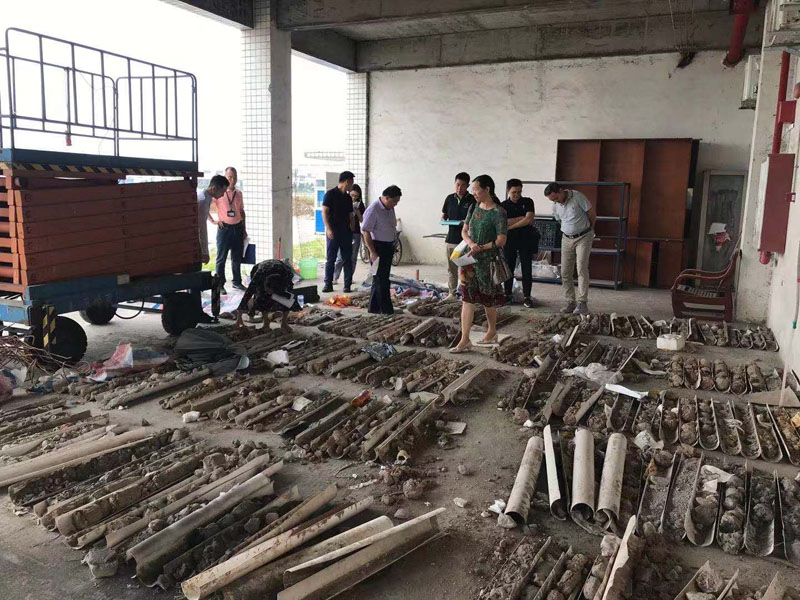 廣碧環保承接順德容桂寶供物流城場地調查項目順利通過專家評審（shěn）(圖4)