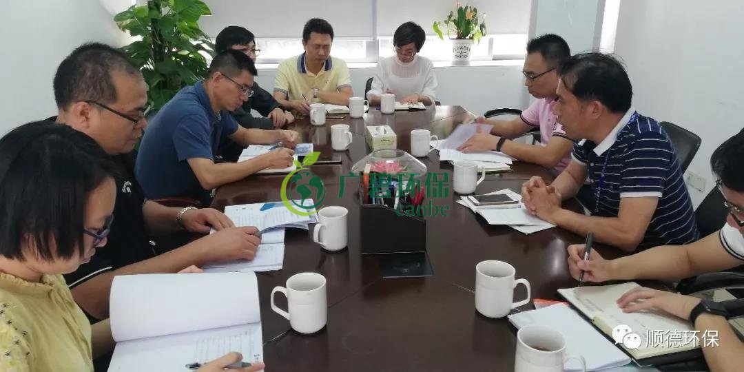 佛山市生態環境局陳振華副局長來順德（dé）開展“不忘初心、牢記使命”主題教育現場調研(圖4)