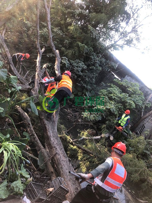 廣碧環保在順德古鑒湧項目現(xiàn)場召(zhào)開(kāi)施工生(shēng)產動員大會(圖3) 廣碧(bì)環(huán)保在(zài)順德古鑒湧項目現場召開施工生產動員大(dà)會(圖3)