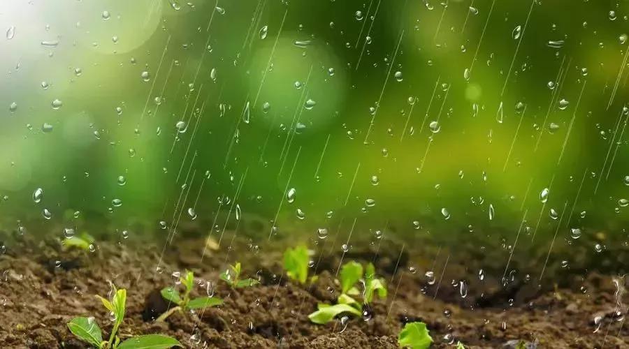 廣東土壤(rǎng)調查等相關評審指南