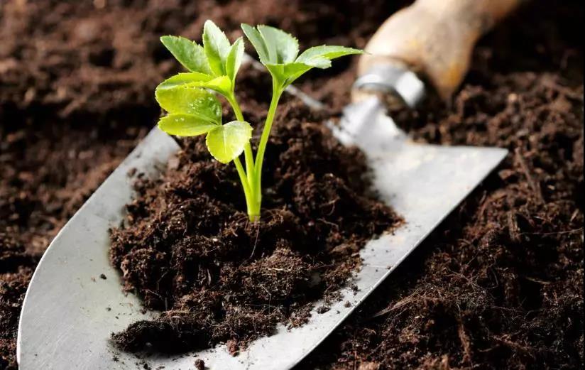 土壤修複常用各種“標準值”