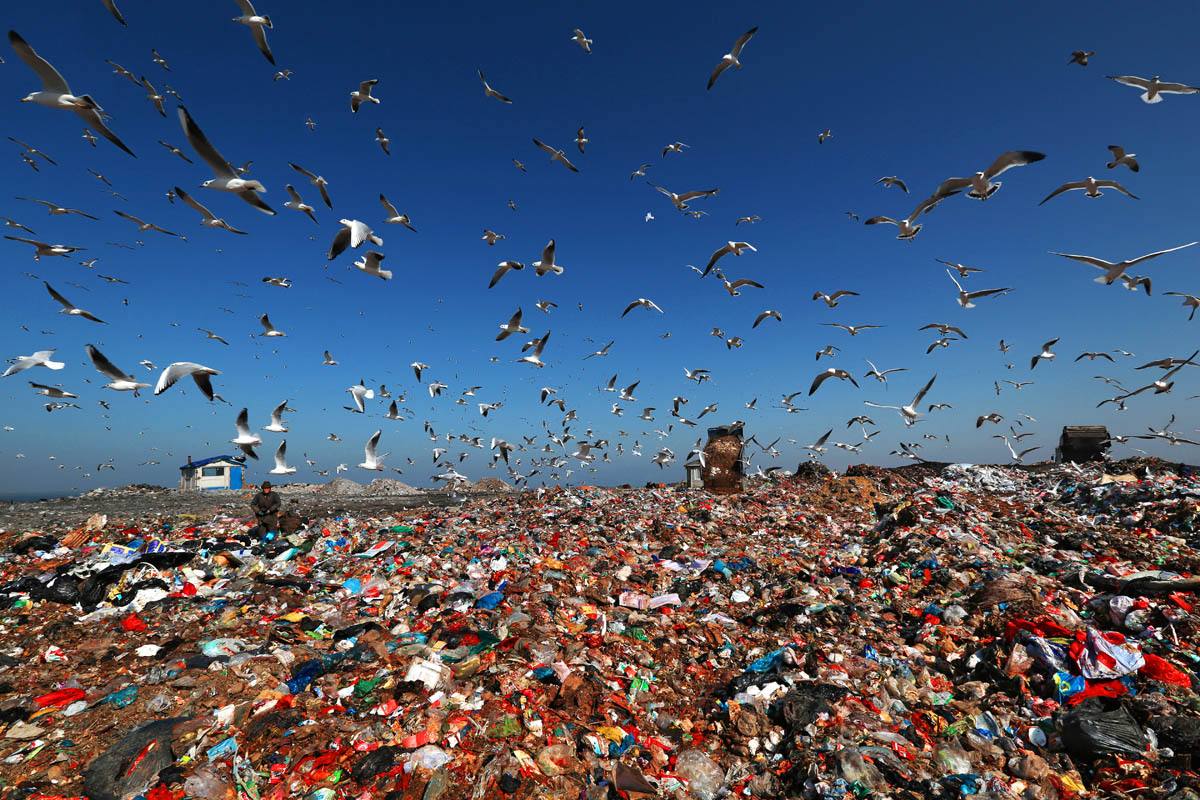 被嚴重低估的海洋塑(sù)料微粒數量